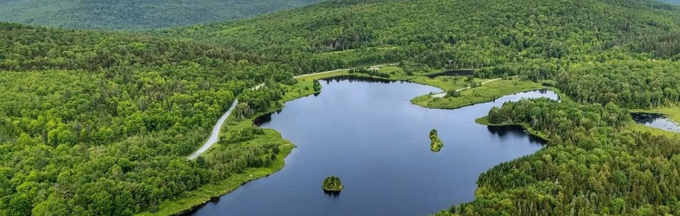 Aerial view of the Vermont hills and forest