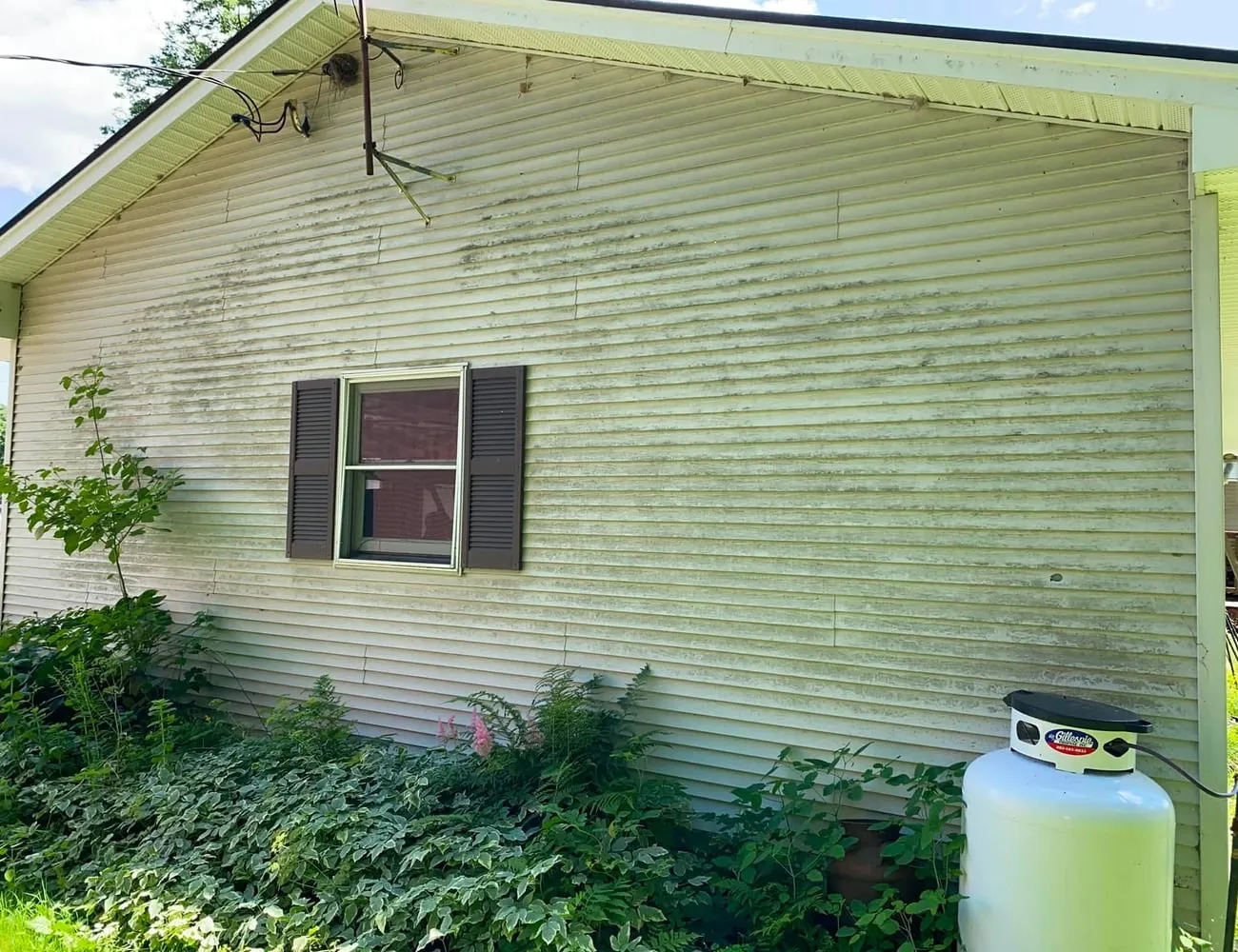 Siding with heavy green algae growth before a soft wash